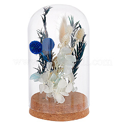 Стеклянный купол&nbsp;AJEW-PH0004-19C