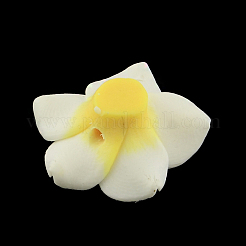 Argilla polimerica artigianali 3 d Plumeria fiore perline&nbsp;X-CLAY-Q192-30mm-14