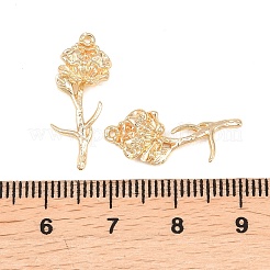 Pendente in ottone&nbsp;KK-A288-01G-09