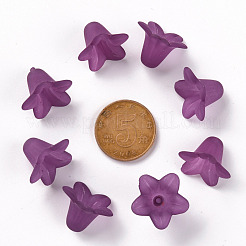 Прозрачные акриловые бусины&nbsp;PLF018-16