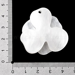 Valentinstag-Anhänger aus Celluloseacetat (Harz)&nbsp;FIND-A064-01