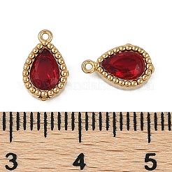 Ionenplattierung (IP) 304 Edelstahl Micro Pave Zirkonia Charms&nbsp;STAS-K256-20G-07