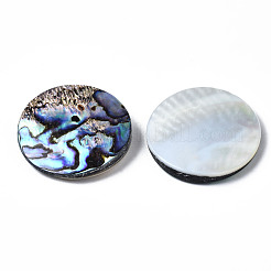 Cabochon di conchiglia abalone naturale / paua shell&nbsp;SSHEL-N034-85