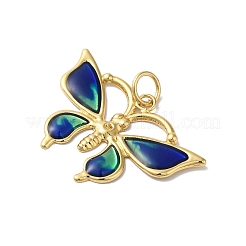 Подвески из латуни с эмалью в стойку&nbsp;KK-G504-04G