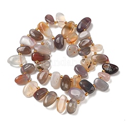 Природные Ботсвана агат бисер нитей&nbsp;G-P604-A06-01