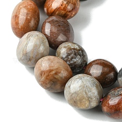 Природные окаменелые коралловые бусы пряди G-G117-A01-02