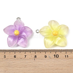 Подвески из непрозрачной смолы&nbsp;RESI-G117-01