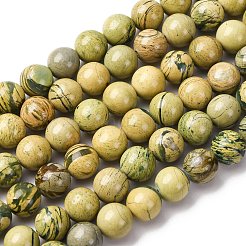 Нити бусин из натурального камня вердит&nbsp;G-C242-03-8mm