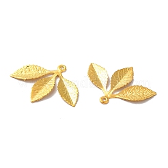 Eisen Anhänger & Charms&nbsp;FIND-B020-32G