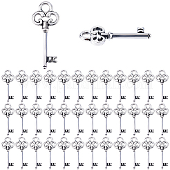 60 шт. Подвески из сплава в тибетском стиле&nbsp;TIBEP-SC0003-37
