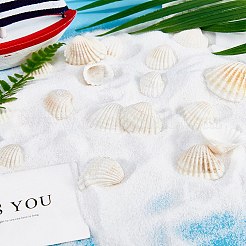 Shell perle naturali&nbsp;SSHEL-PH0001-07