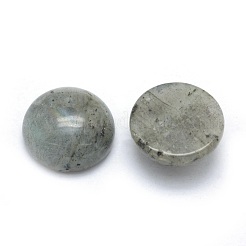Cabochon di labradorite naturale&nbsp;G-P393-R47-14mm