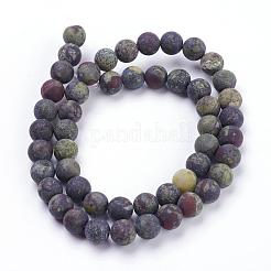 Perline Bloodstone naturale fili&nbsp;G-F520-59-10mm
