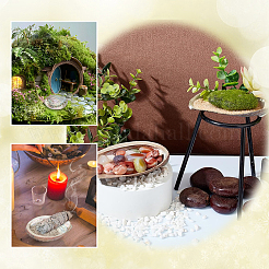 Украшение из натуральной раковины морского ушка&nbsp;FIND-WH0817-038A