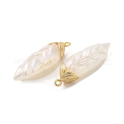 Подвески из смолы с радужным переливающимся покрытием&nbsp;RESI-C047-03B-G