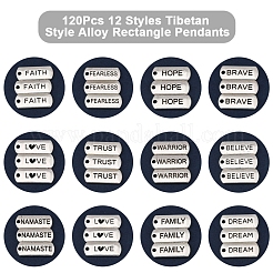 120 шт. 12 стиля тибетского стиля сплава прямоугольные подвески&nbsp;FIND-FS0003-63