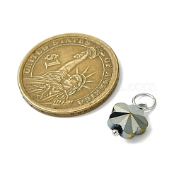 16шт 8 цвета стеклянные подвески&nbsp;PALLOY-JF03194