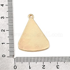 Emaille Anhänger Legierung&nbsp;AL-CBA2C8B-02G