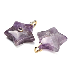 Natürlichen Amethyst Edelsteinanhänger&nbsp;G-Z157-01G-A02