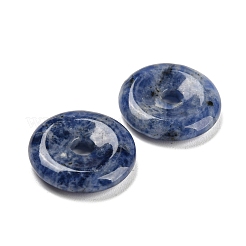 Подвески с пряжкой и пряжкой из натурального синего пятна&nbsp;LS-G-B052-12