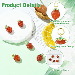 5 шт. латунь с натуральными агатовыми подвесками&nbsp;KK-CJ0003-17