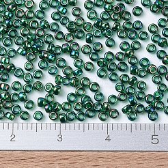 Miyuki runde Rocailles Perlen&nbsp;SEED-X0054-RR0289