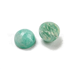 Natürliche Amazonit-Cabochons&nbsp;G-H309-03-62