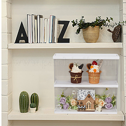 Одноуровневая прямоугольная прозрачная акриловая витрина для минифигурок&nbsp;ODIS-WH0099-08B