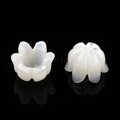 Bouchons de perles de coquillage blanc naturel&nbsp;SSHEL-N032-58A
