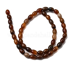 Chapelets de perles en bois pétrifié naturel&nbsp;G-K362-I12-02