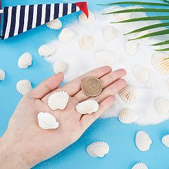Shell perle naturali&nbsp;SSHEL-PH0001-07