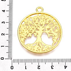 Tibetischen Stil Legierung Anhänger&nbsp;TIBE-H142-11G