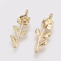 Латунные подвески&nbsp;X-KK-T020-117G