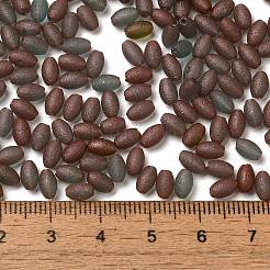 Стеклянные бусины прозрачных цветов&nbsp;SEED-F006-03A-12