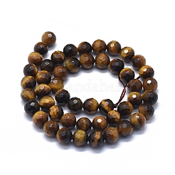 Naturale giallo occhio di tigre fili di perline&nbsp;G-D0013-72B