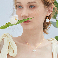 18 шт. подвески из натуральной морской ракушки в 3 стилях&nbsp;FIND-DC0003-75