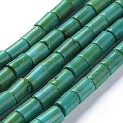 Hebras de cuentas de magnesita natural, teñido, columna, turquesa, 6x8~8.5mm, agujero: 0.6 mm, aproximamente 48 pcs / cadena, 15.5 pulgada (39.5 cm)