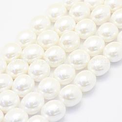 Fili di perline con guiscio, ovale, bianco crema, 15~16x12~13x11mm, Foro: 1 mm, circa 25pcs/filo, 15.7 pollice (40 cm)
