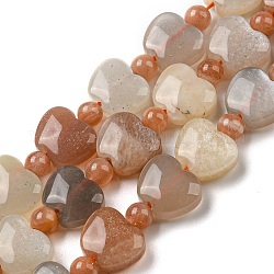 Natural Moonstone Beads Strands, Apple, 9x10.5x5mm, Hole: 1mm, about 35pcs/strand, 15.47''~15.67'' (39.3~39.8cm)