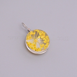 Colgantes de cristal transparente, con flor seca en el interior y fornitura de acero inoxidable, plano y redondo, color acero inoxidable, amarillo, 20~23x15x12mm, agujero: 1.5 mm