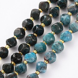 Chapelets de perles en apatite naturelle, avec des perles de rocaille, dés célestes à six faces, teinte, facette, 8~8.5x8~8.5mm, Trou: 1mm, Environ 21 pcs/chapelet, 7.99 pouce (20.3 cm)