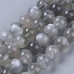 Fili di perline di pietra di luna grigia naturale, tondo, 6mm, Foro: 0.6 mm, circa 65~67pcs/filo, 15.7 pollice (40 cm)