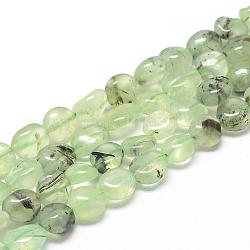 Natur Prehnit Perlen Stränge, Oval, 8~15x7~12x4~12 mm, Bohrung: 1 mm, ca. 30~45 Stk. / Strang, 15.7