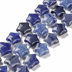 Granos de aventurina azul natural hebras, con abalorios de la semilla, estrella, 14~15.5x15~16x6.5~7mm, agujero: 1 mm, aproximamente 24~25 pcs / cadena, 15.55''~15.95'' (39.5~40.5 cm)