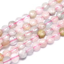 Chapelets de perles en morganite naturelle, facette, plat rond, 4x2mm, Trou: 0.5mm, Environ 109 pcs/chapelet, 15.7 pouce (40 cm)