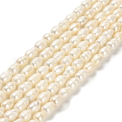 Fili di perle di perle d'acqua dolce coltivate naturali, riso, grado a, bianco floreale, 7~8x5~6mm, Foro: 0.6 mm, circa 42pcs/filo, 13.58'' (34.5 cm)