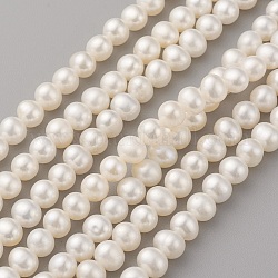 Hebras de perlas de agua dulce cultivadas naturales, patata, color de concha, 5.5~6x5~5.5mm, agujero: 0.8 mm, aproximamente 64~65 pcs / cadena, 14.17~14.37 pulgada (36~36.5 cm)