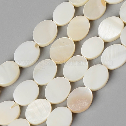 Eau douce naturelle de coquillage perles brins SHEL-N026-73-1