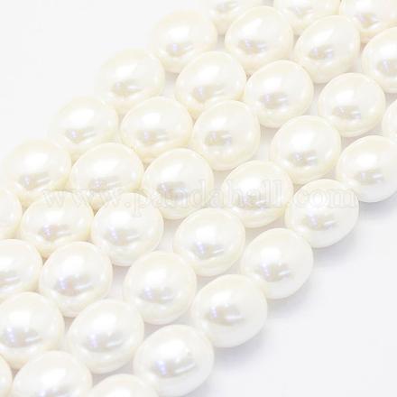 Chapelets de perles de coquille BSHE-P024-15-1