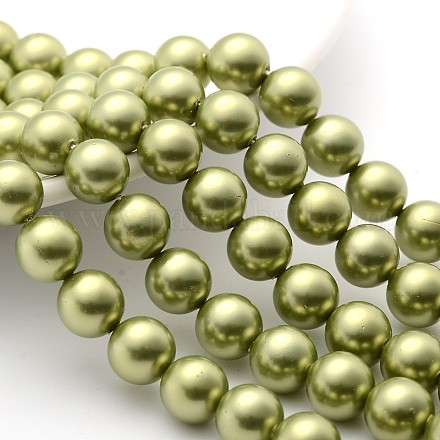 Shell Pearl Beads Strands SP10MM645-1